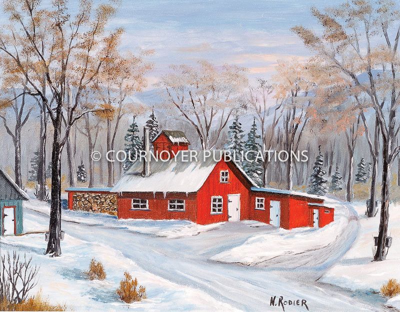 Cabane-de-M-Poulin-7772